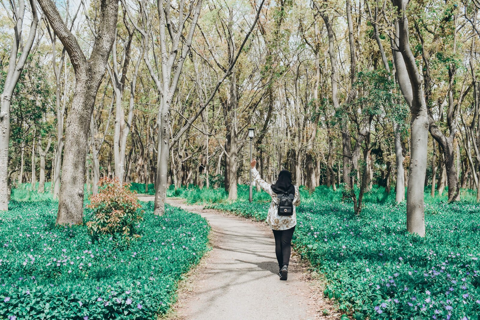 Solo Female Walking through the forest on her travel