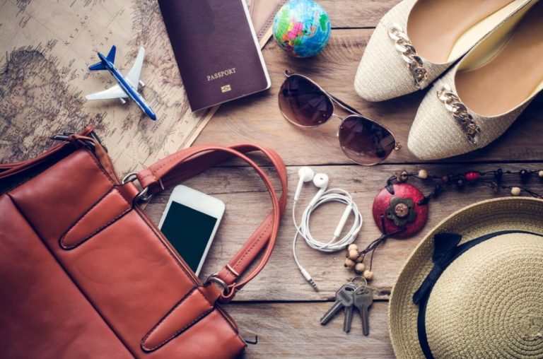 Handbag travel accessories