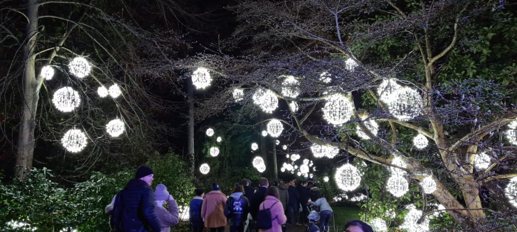 Christmas At Kew Gardens London Light Trail