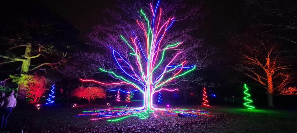 Christmas At Kew Gardens London Light Trail © The Veiled Explorer