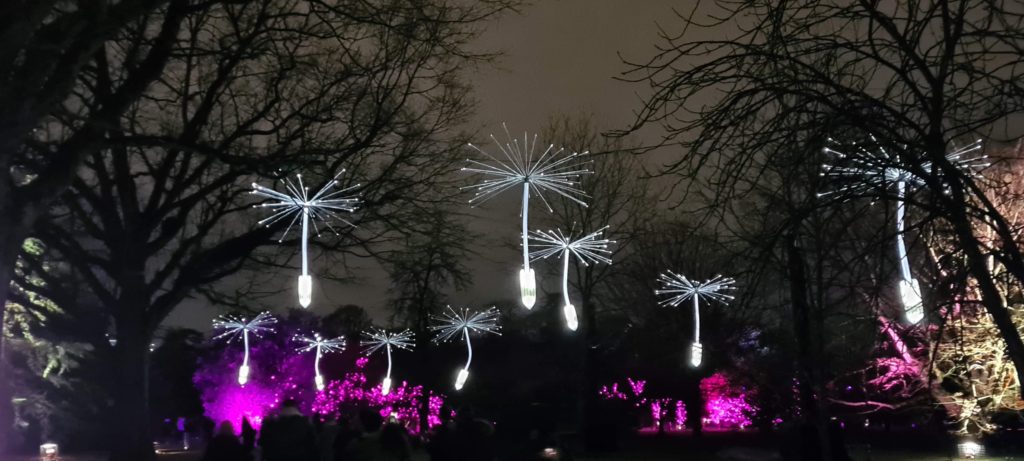 Christmas At Kew Gardens London Light Trail © The Veiled Explorer