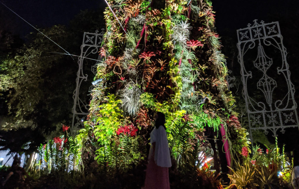 Singapore Gardens by The Bay Rhapsody