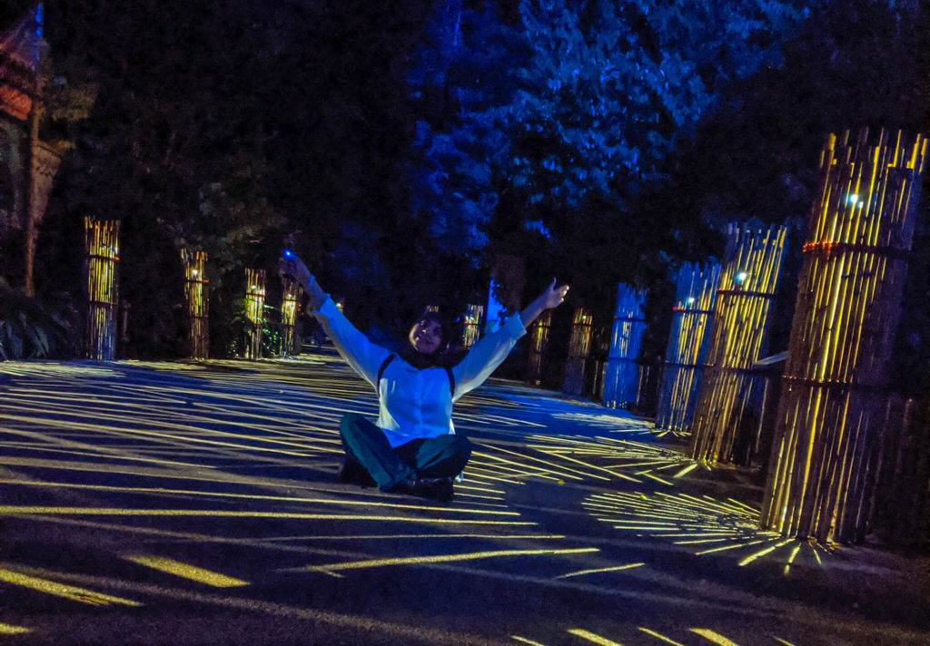 Rainforest Lumina at Singapore Night Safari