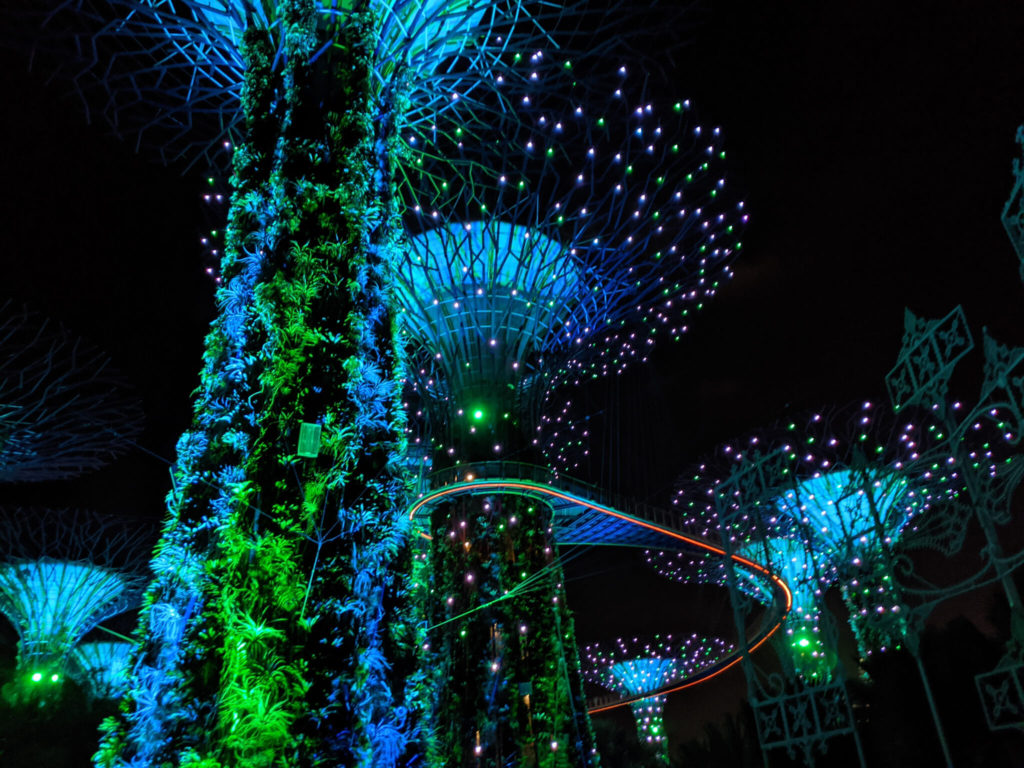 Singapore Gardens by The Bay & OCBC Skyway