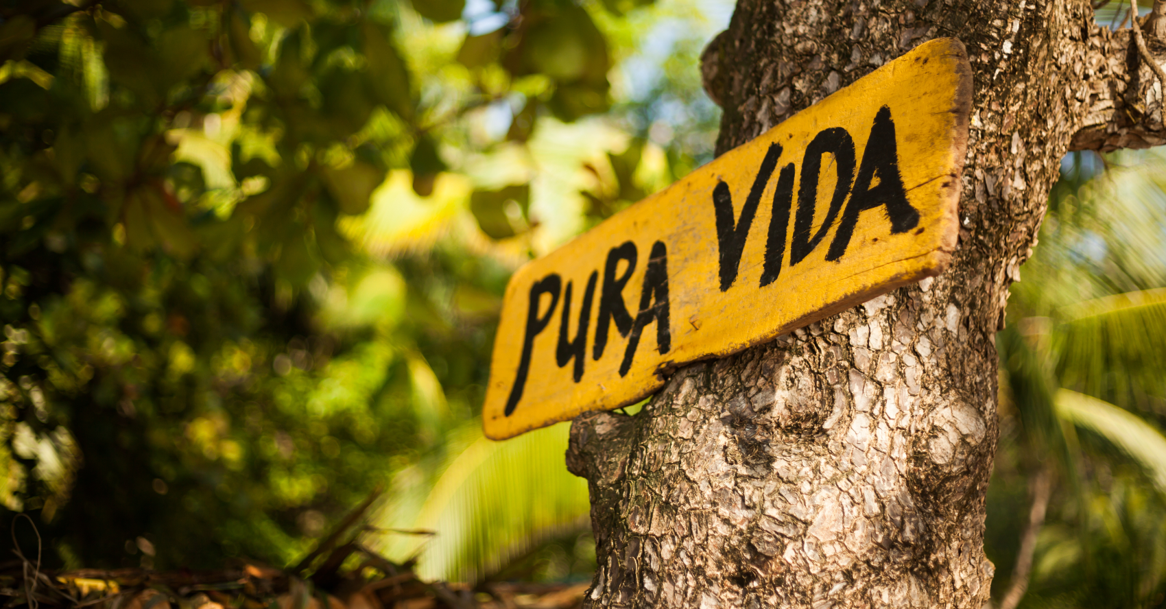 Pura Vida Sign