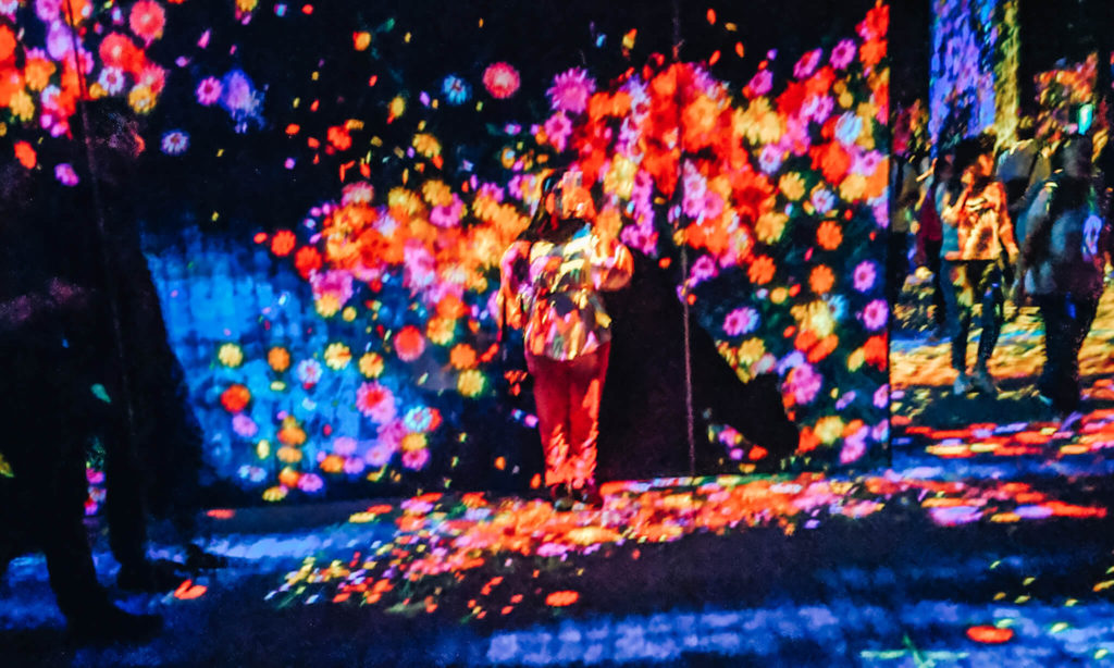 teamLab Borderless