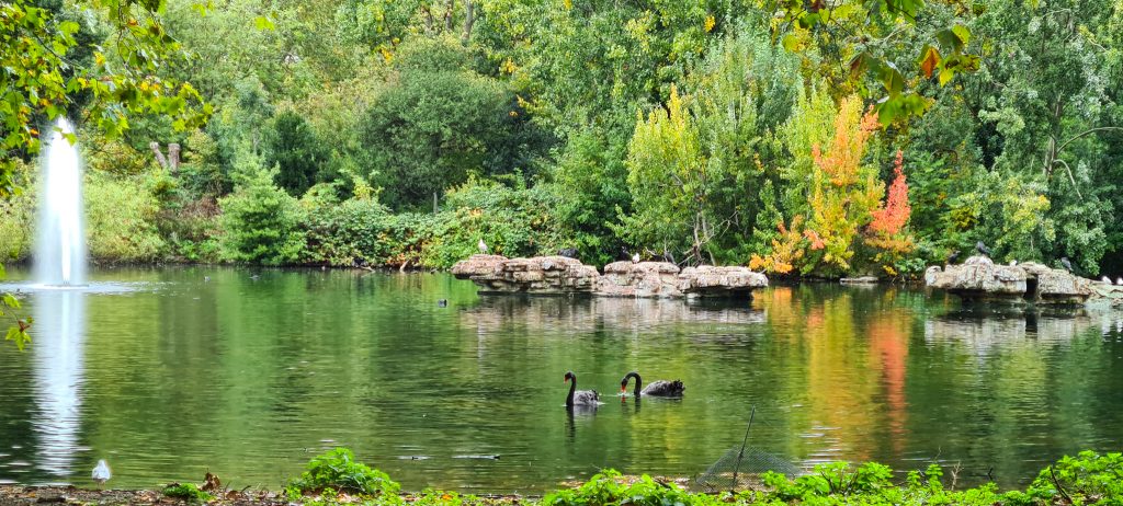 St James Park London Picnic Spots