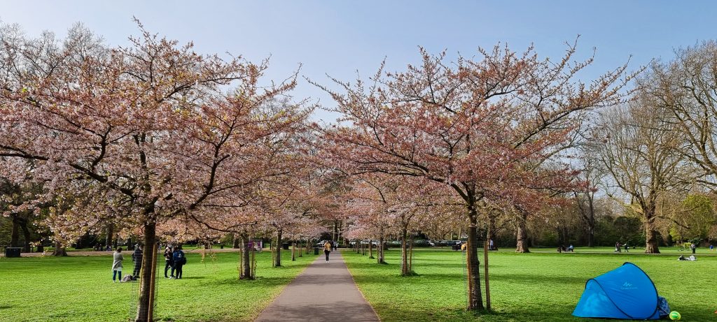 Battersea Park London Picnic Spots