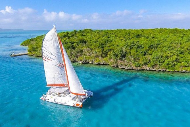 Ile Aux Cerf Adventure