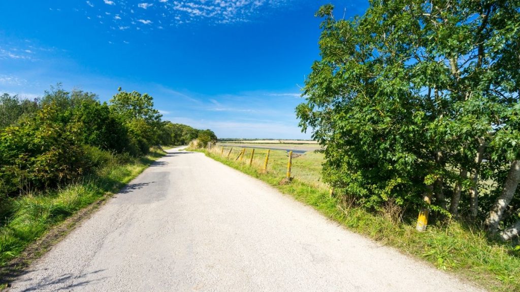 The Camel Trail In Cornwall