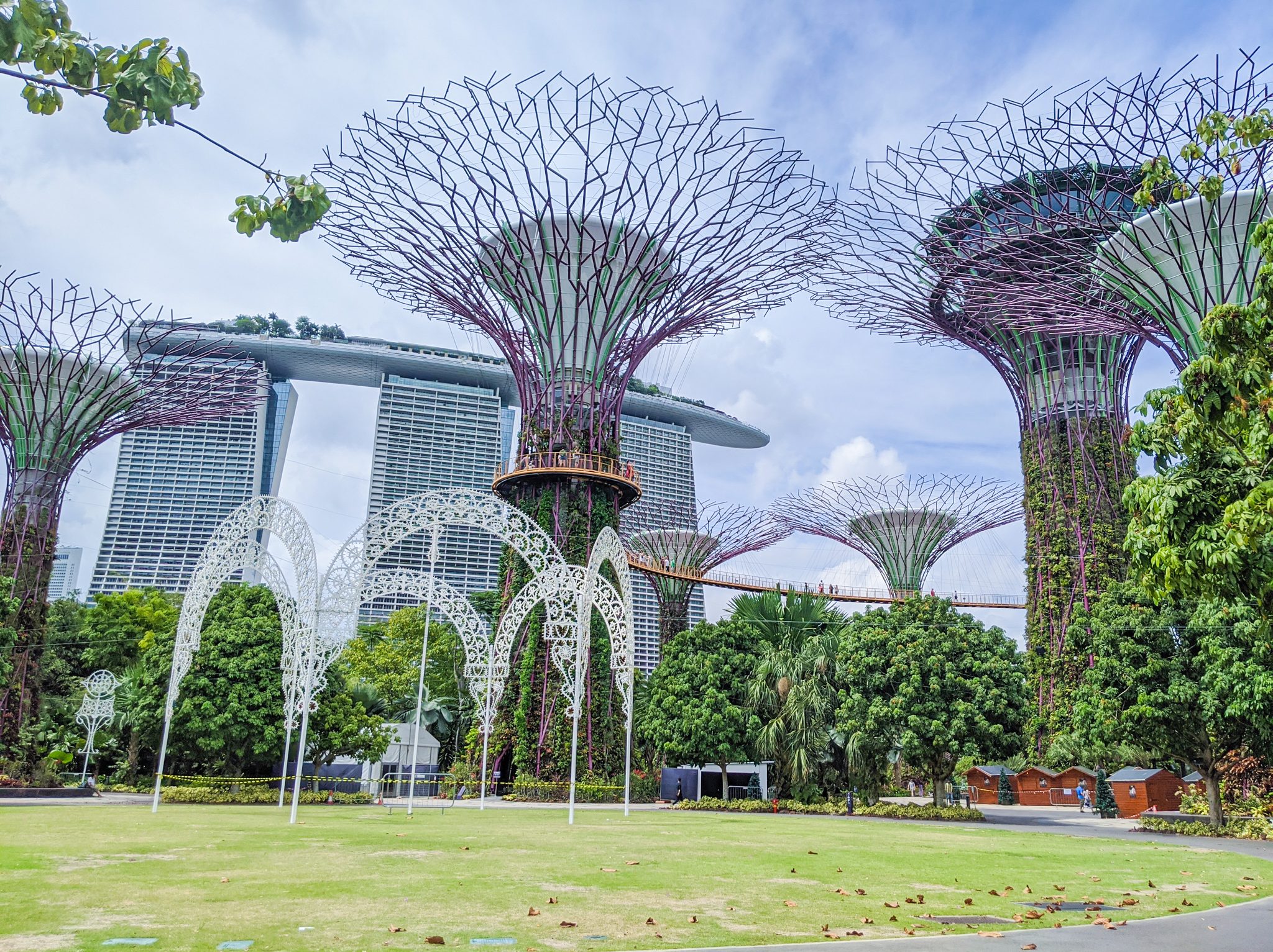 Gardens by the bay Singapore