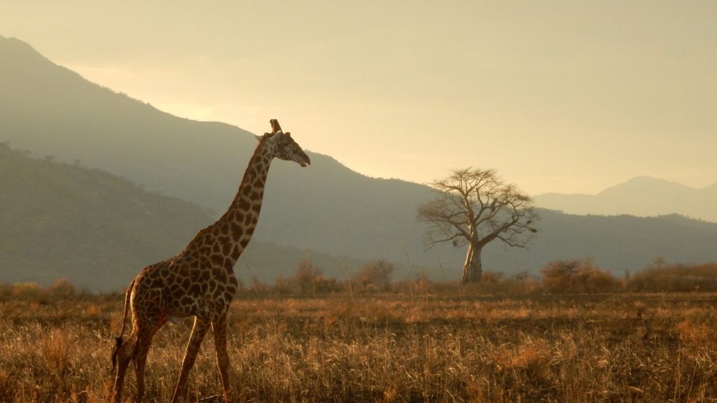Tanzania halal holiday destination