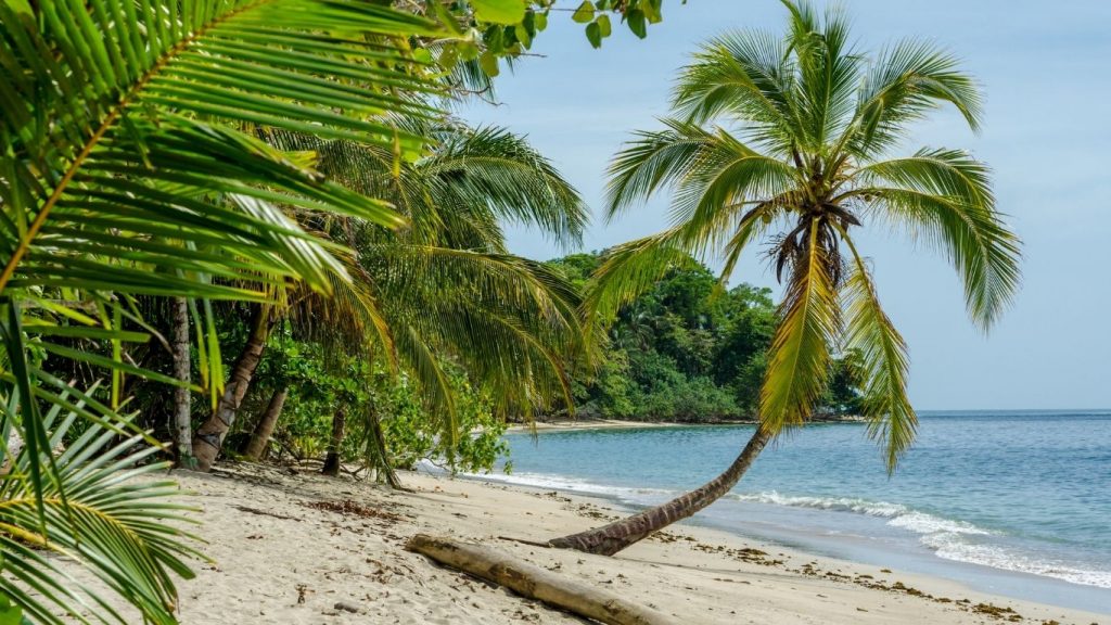 Costa Rica Travel Guide