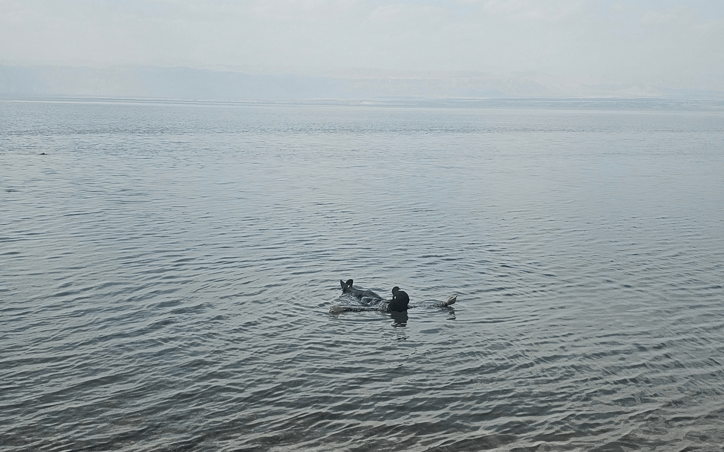 day trip to Dead Sea Jordan from Amman
